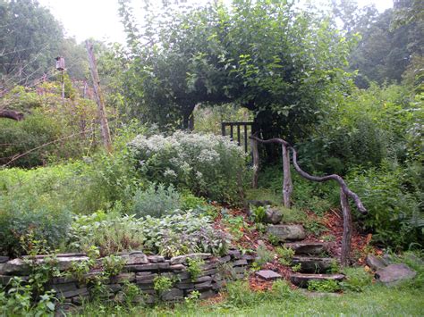 Food Forest Garden - A Natural Oasis of Renewable Energy and Sustainability
