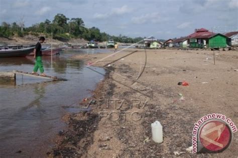 Kualitas Air Sungai Barito Masih Batas Toleransi ANTARA News