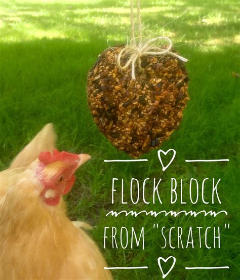 Flock Block From Scratch A Chick And Her Garden