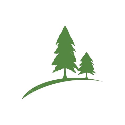 Pine Tree Logo Ilustration Trees Evergreen Eco Vector Trees Evergreen