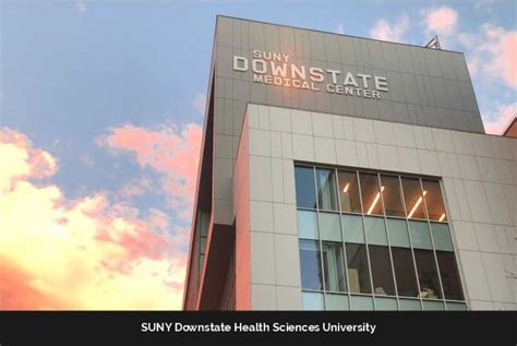 SUNY Downstate Medical Center Brooklyn: Transforming Healthcare through Excellence — Times News ...