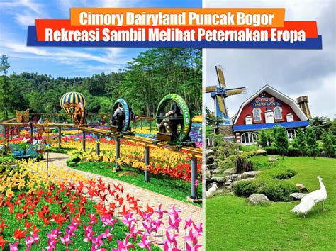 Mampir Ke Peternakan Eropa Di Cimory Dairyland Puncak Bogor - Heydayat.com