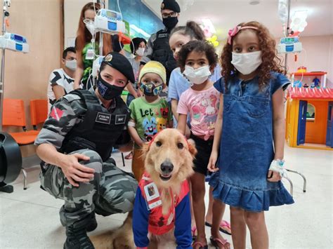 Crian As Do Oncol Gico Infantil Recebem Visita Especial Do C Ozinho