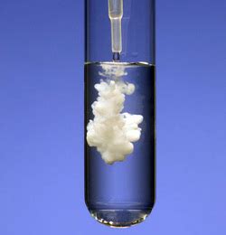 Precipitate Reactions - PMS Techno Review