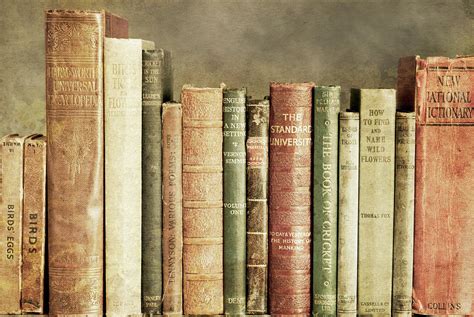 Old Books On A Shelf Photograph By Tom Quartermaine Fine Art America