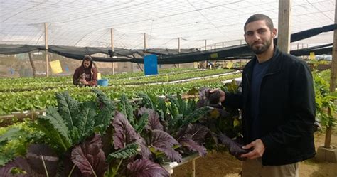 Egypt's Quiet Revolution: Sustainable Agriculture | Middle East Institute