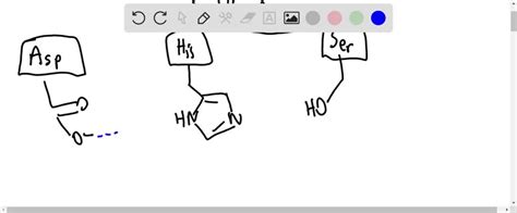 ⏩solveddiagram The Hydrogen Bonding Interactions Of The Catalytic Numerade