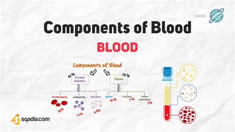 Blood - Components of Blood