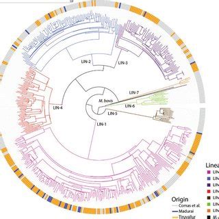 Summary Of Gene Annotations And GC Skew Analysis Of The Yb2 Genome