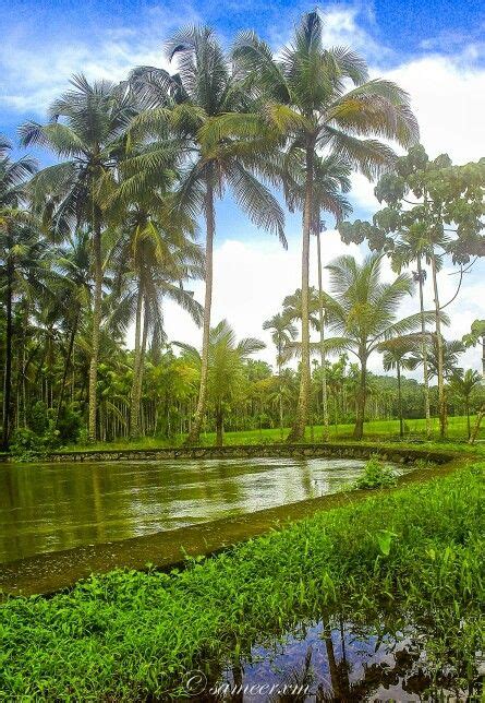 15 Best Tourist Places in Kerala