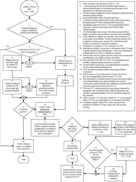 Urinary Tract Infection Clinical Practice Guideline For The Diagnosis