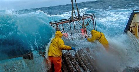 The Jobs On ‘deadliest Catch Explained