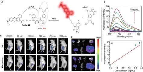 Photoinduced Electron Transfer Pet Based Fluorescent Probes For