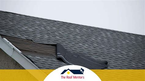 7 Warning Signs That Your Roof Is Failing The Roof Mentors