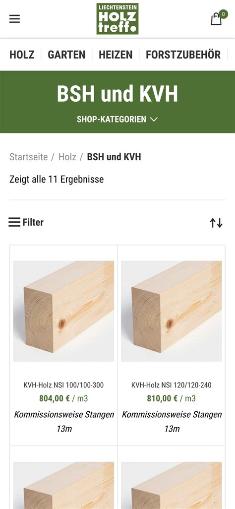 Projekt Liechtenstein Holztreff TRONIC