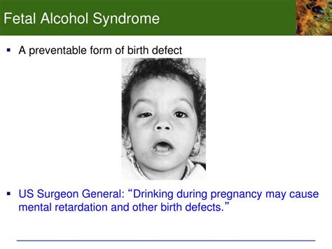 PPT Chp 7 Development And Sex Determination 7 1 The Human