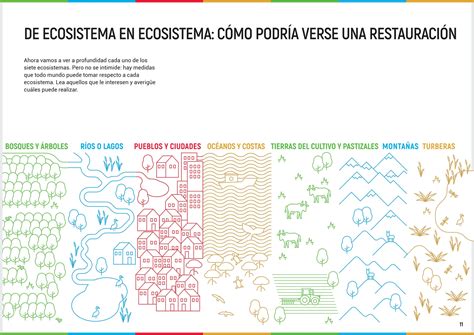 Manual De Restauraci N De Los Ecosistemas Ppt