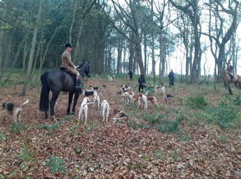 North Wales hunt sabs 20/21 – North Wales Hunt Sabs