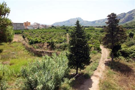 Al Via Il Recupero Del Parco Di Maredolce A Palermo Scarpinato In