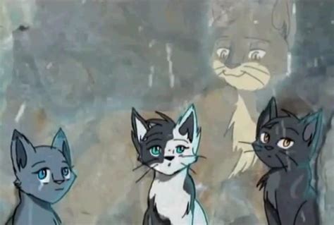 Bluestar S Kits And Oakheart Warrior Cat Memes