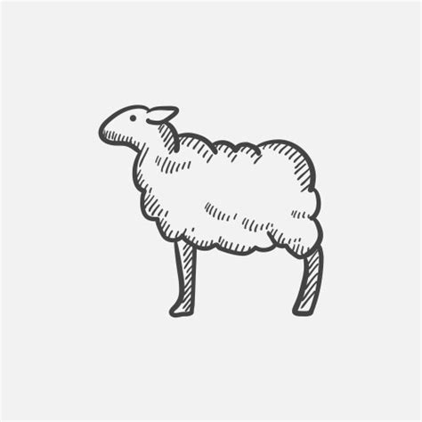 Sheep Hand Drawn Sketch Icon Royalty Free Vector Image