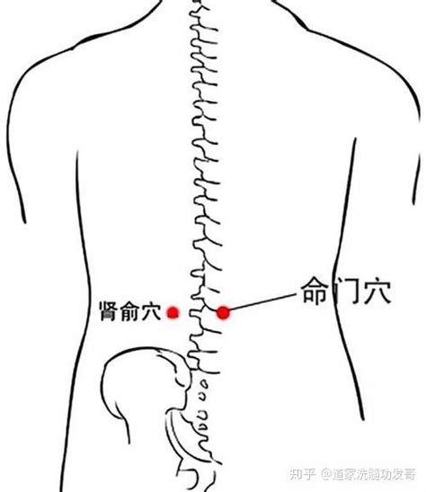 站桩功的正确方法，站桩松尾闾四步功！ 知乎