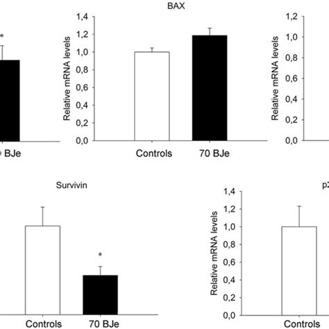 Gene Expression Profiling Of Apoptosis Related Genes In Colon Tumours Download Scientific