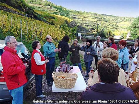 Weinwanderung Weinprobe Rhein Schifffahrt Schiffsweinprobe