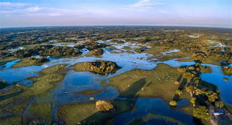 10 Curiosidades sobre o Mato Grosso do Sul para você se encantar