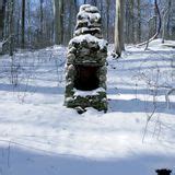 Shiprock Woods Nature Trail, Pennsylvania - 333 Reviews, Map | AllTrails