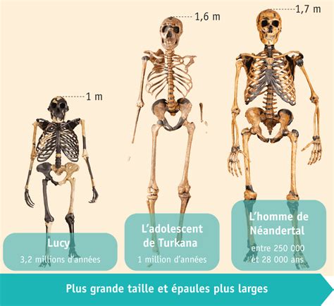 À la recherche des premiers hommes Lelivrescolaire fr