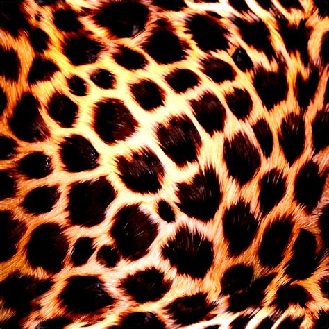 Download Realistic Cheetah Fur Texture Png 05232024