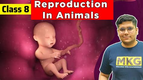 Reproduction In Animals Class 8 Science Chapter 6 Class 8 Science