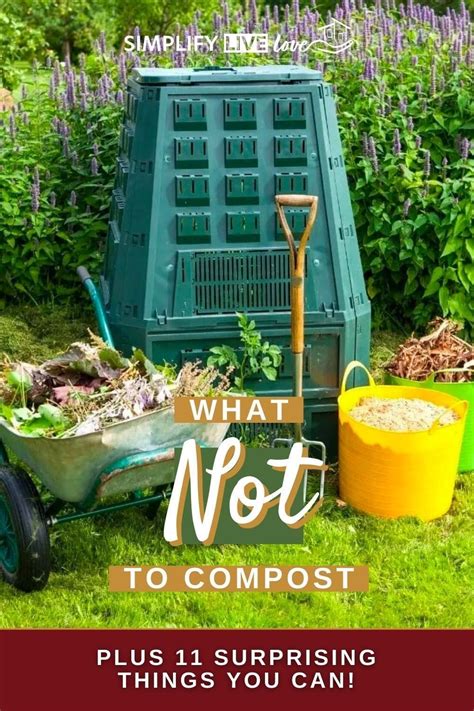 8 Best Compost Bins On The Market New For 2023 Artofit