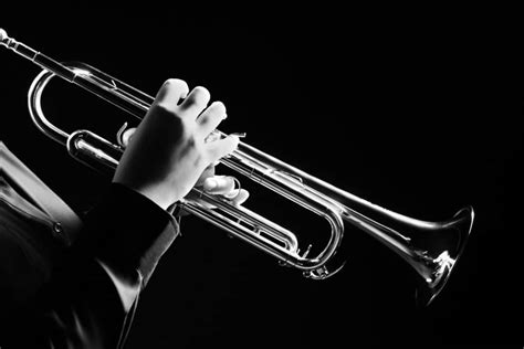 9 Different Types of Trumpets (Plus Interesting Facts)