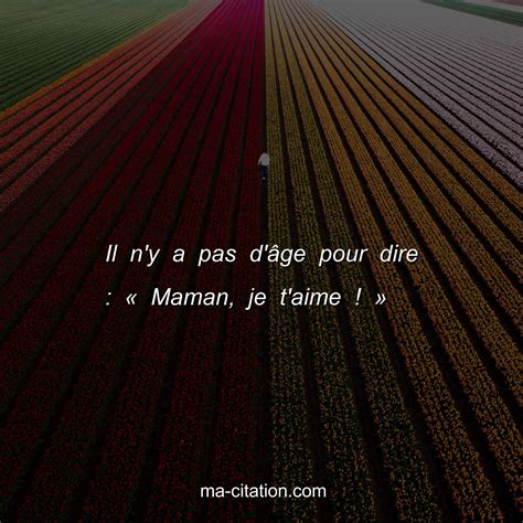 Il N Y A Pas D Ge Pour Dire Maman Je T Aime Ma Citation