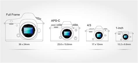 Faq What Is A Dslr Adorama