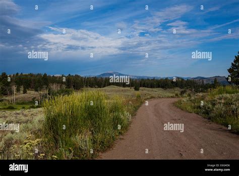 View Of Electric Peak From Blacktail Plateau Drive Yellowstone