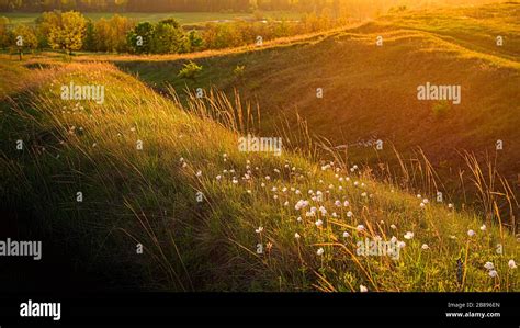 Country Meadows Banner High Resolution Stock Photography And Images Alamy