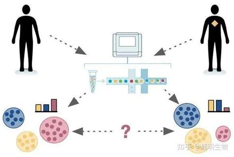 谈一谈单细胞转录组测序细胞组成分析方法 知乎
