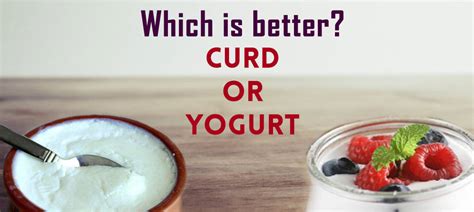 What is the difference between Curd vs Yoghurt? - MilkandMore.co.in