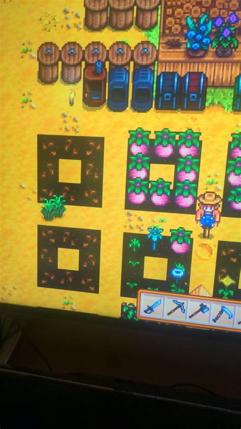 Glitch : r/StardewValley