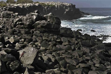 Fotograf As Sobre Las Islas Gal Pagos Y El Cambio Clim Tico