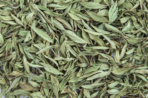 Dry Thyme Leaves Pile Background And Texture Stock Image Image Of