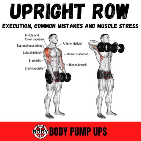 Dumbbell Upright Row The upright row is an excellent exercise to build ...