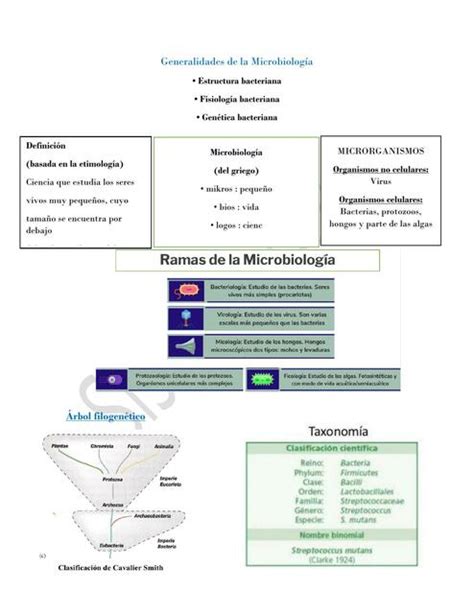 Generalidades De La Microbiolog A Sisi Zeled N M Udocz