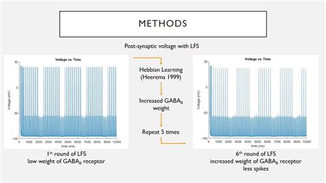 Gaba B Dependent Seizure Suppression Following Termination Of Low