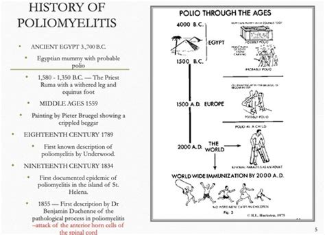 VTPB Lecture 21 Polio Flashcards Quizlet