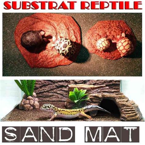 Jual Sand Mt Karpet Pasir Alas Kandang Kura Kura Darat Tortoise Reptile