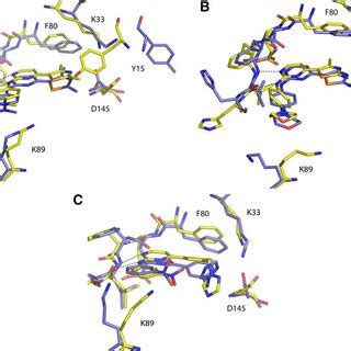 Comparison Of The Active And Monomeric CDK2 Binding Modes Of Pyrimidine